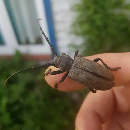 Uroczysko Deresze Gospodarstwo agroturystyczne Gilawy