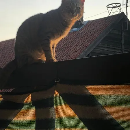 Gospodarstwo agroturystyczne Uroczysko Deresze *