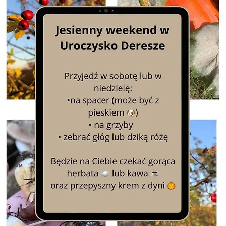 Uroczysko Deresze Gilawy