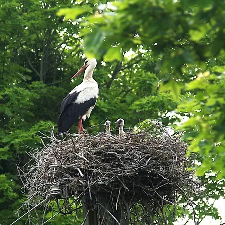 Uroczysko Deresze Gospodarstwo agroturystyczne