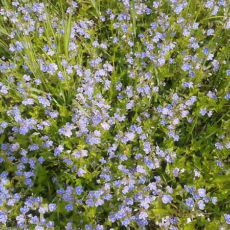 Gospodarstwo agroturystyczne Uroczysko Deresze