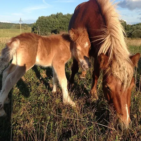 Uroczysko Deresze Gilawy