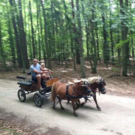 Bauernhof Uroczysko Deresze