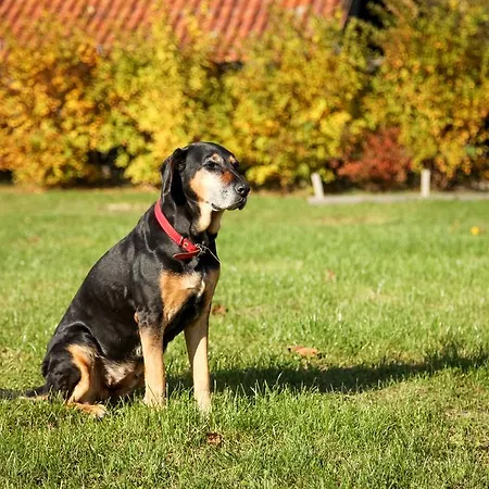 Gospodarstwo agroturystyczne Uroczysko Deresze