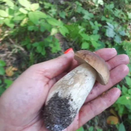 Uroczysko Deresze Gospodarstwo agroturystyczne Gilawy