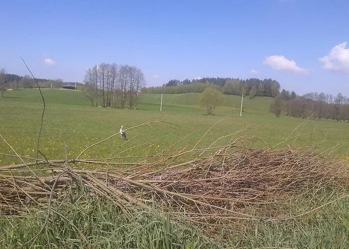 Uroczysko Deresze Agroturismo *