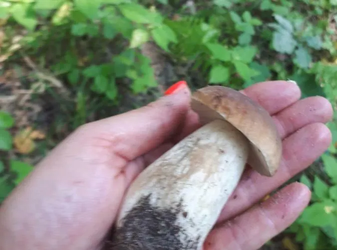 Uroczysko Deresze Agroturismo Gilawy